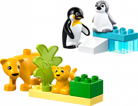 Families van wilde dieren: pinguïns en leeuwen
